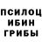 Псилоцибиновые грибы GOLDEN TEACHER Zerozed