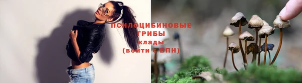МДПВ Лиски