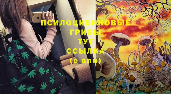 гашик Лихославль