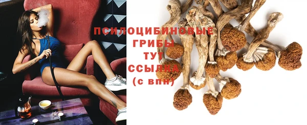 таблы Арсеньев