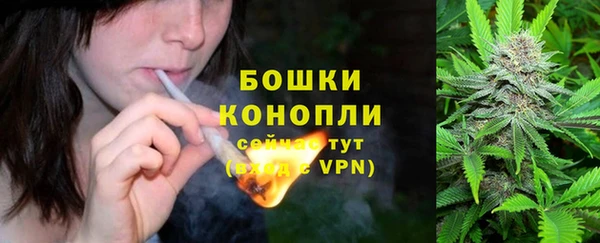 МДПВ Лиски