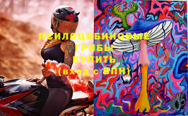 хмурый Лагань